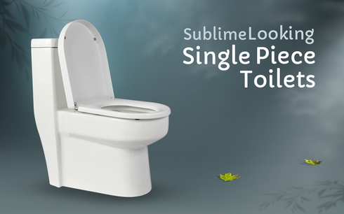 Single piece toilet