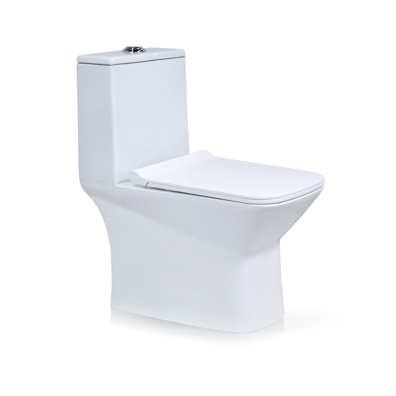 Cora 5 D Vortex Flushing One Piece Toilet