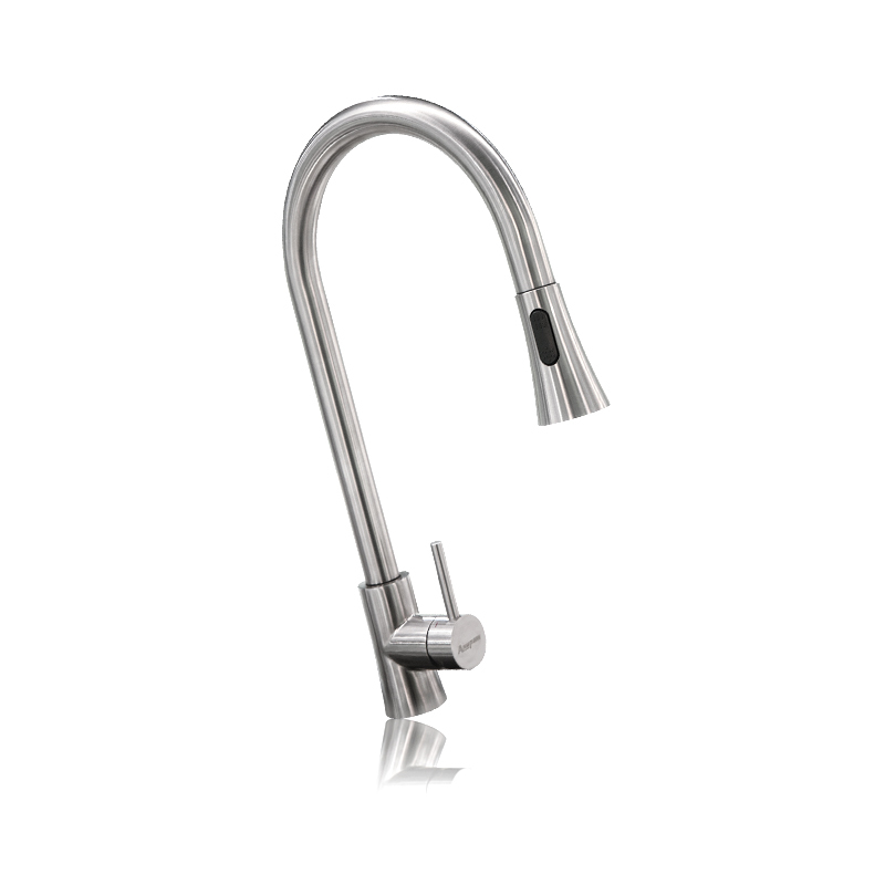 Anupam Pull-Out Kitchen Faucet SS1101